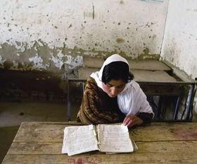 国产欧美非洲免费视频